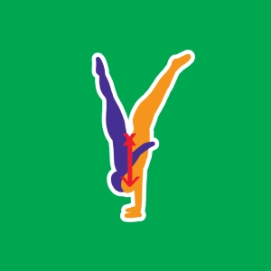 Base of support