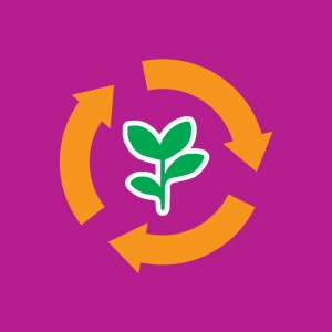 Cycle de vie d'une plante