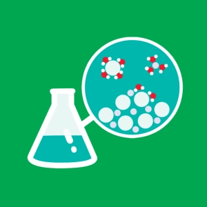 Dissolution of NaCl in Water