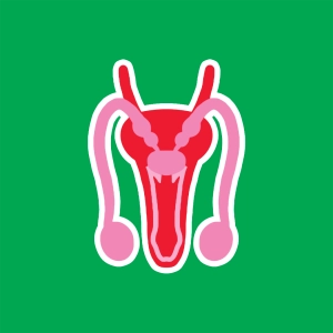 Aparato reproductor masculino