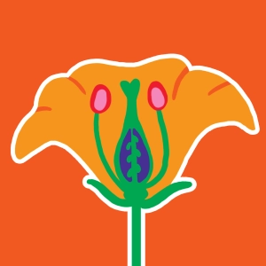 Sexual Reproduction in Angiosperms