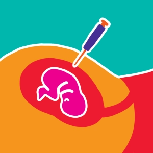 From amniocentesis to karyotype