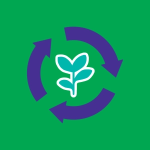 Vidéo : Cycle de la plante