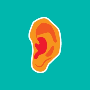 Vidéo : L'oreille